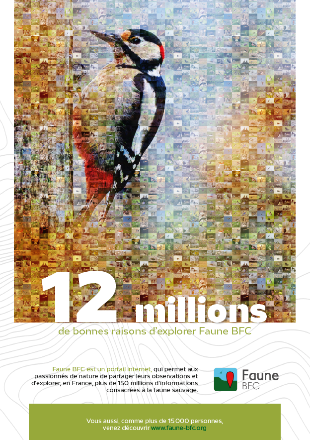 12 millions de bonnes raisons d'explorer Faune BFC